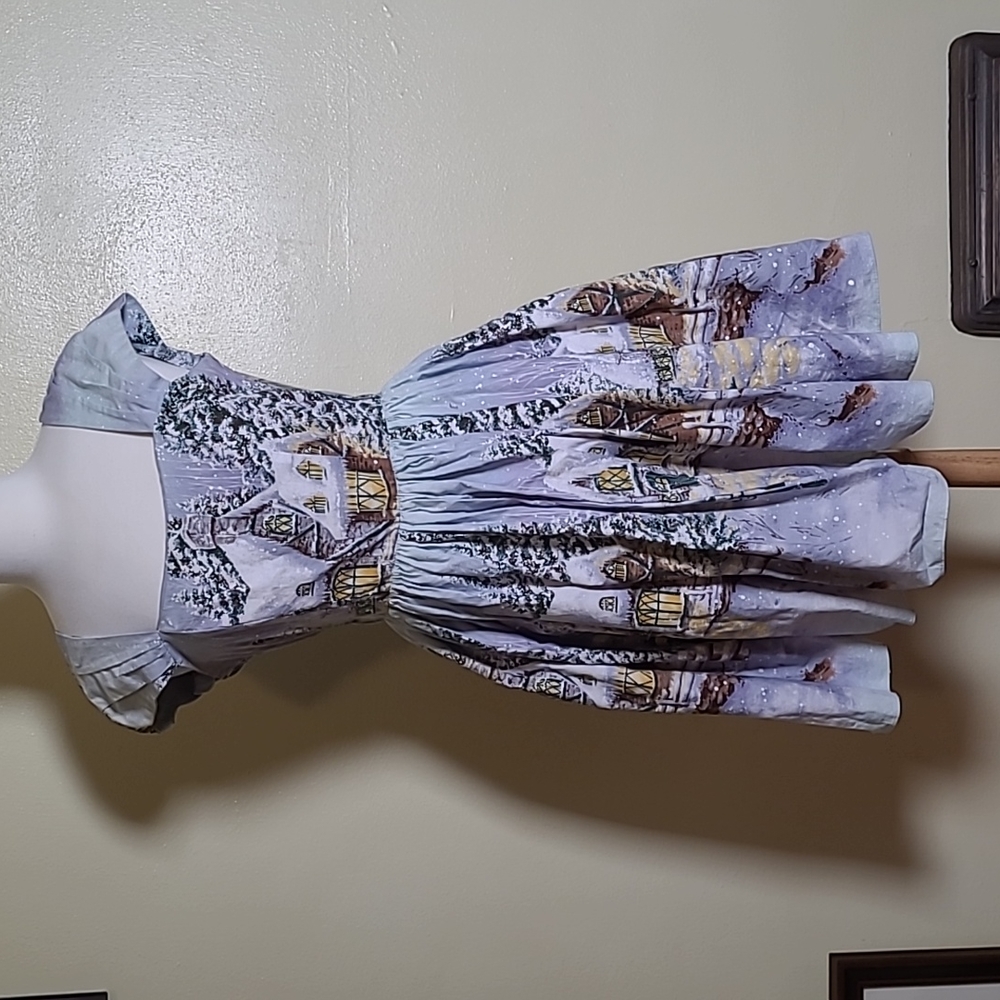 Bernie Dexter winter print dress size S